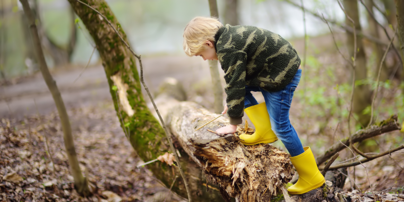 Kind das im Wald spielt